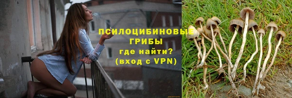 спиды Горнозаводск