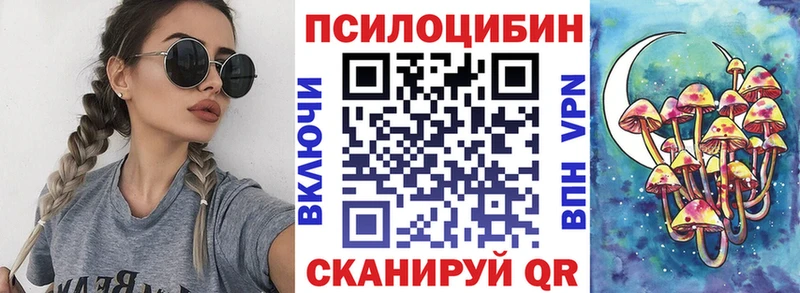 продажа наркотиков  Майкоп  Галлюциногенные грибы Psilocybe 